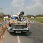 ติดตั้ง guard rail แขวงการทางกาฬสินธุ์