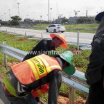 guardrail กันชน แขวงทางหลวงพิเศษ กรมทางหลวง ปริมาณงาน 1,950 เมตร