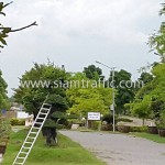 ราคามาตรฐานโคมไฟถนนพลังงานแสงอาทิตย์ วัดสุทธาวาส วิปัสสนา อำเภอลาดบัวหลวง