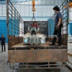guard rail ปลายทางอำเภอสว่างแดนดิน จังหวัดสกลนคร guard rail ปลายทางอำเภอสว่างแดนดิน จังหวัดสกลนคร