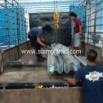 ราวเหล็กลูกฟูก ปลายทางอำเภอสว่างแดนดิน จังหวัดสกลนคร ราวเหล็กลูกฟูก ปลายทางอำเภอสว่างแดนดิน จังหวัดสกลนคร