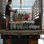 การ์ดเรล จำนวนทั้งหมด 115 แผ่น ปลายทางตำบลศรีสุนทร อำเภอถลาง จังหวัดภูเก็ต การ์ดเรล จำนวนทั้งหมด 115 แผ่น ปลายทางตำบลศรีสุนทร อำเภอถลาง จังหวัดภูเก็ต