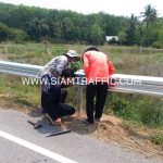 การติดตั้งราวกันอันตราย ทางหลวงหมายเลข 242 ตอนหนองบัว – ท่าบ่อ ปริมาณงาน 2,272 ม.