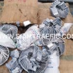 การ์ดเรล ปลายทางส่งไปที่จังหวัดอุตรดิตถ์